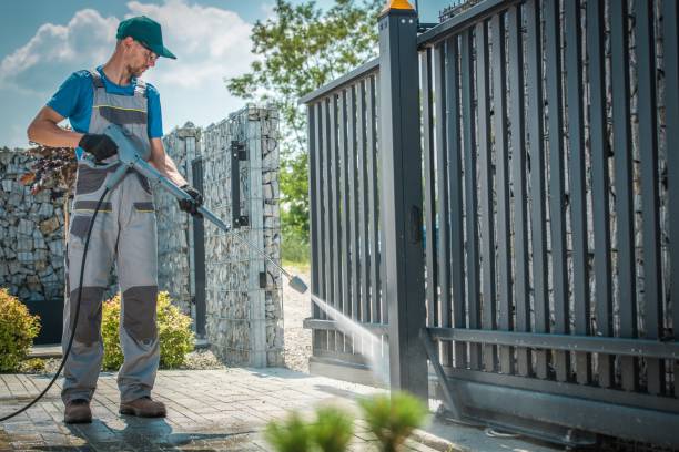Best Fence Cleaning  in La Joya, TX