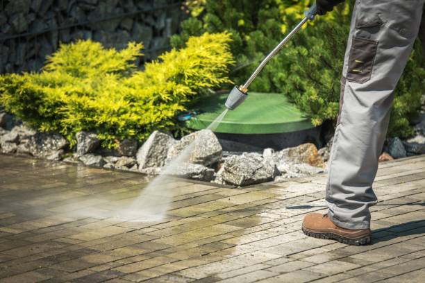 Reliable La Joya, TX Pressure Washing Solutions