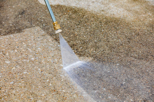 Best Factory Floor Cleaning  in La Joya, TX